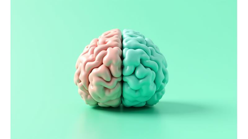Graphique illustrant l'activité cérébrale avant et après la méditation